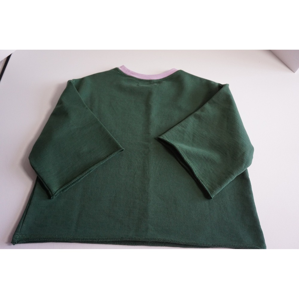 Anthropologie 85 Chicago Cropped Sweatshirt Green Lilac Graphic S - Picture 4 of 14